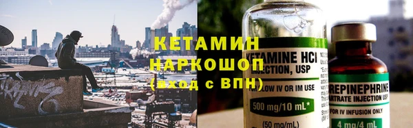 прущие грибы Каменногорск