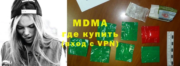 прущие грибы Каменногорск