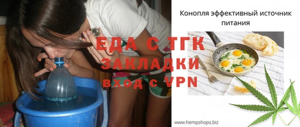 прущие грибы Каменногорск