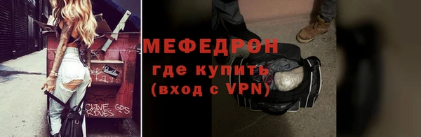 прущие грибы Каменногорск