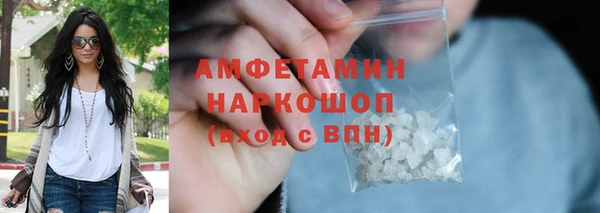 прущие грибы Каменногорск