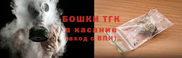 скорость Каменка