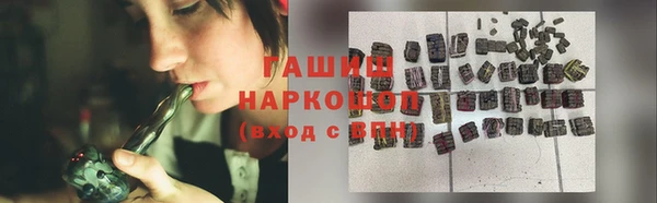 прущие грибы Каменногорск