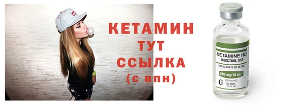 прущие грибы Каменногорск