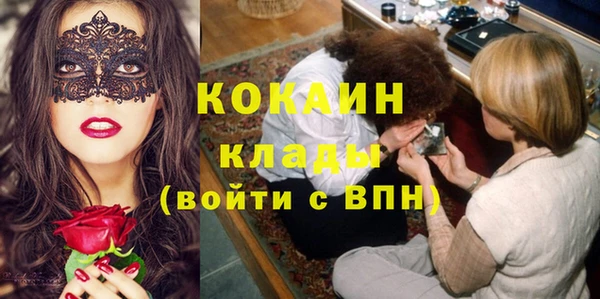 прущие грибы Каменногорск