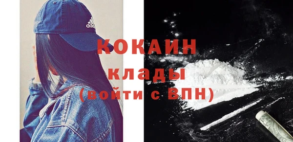 скорость Каменка