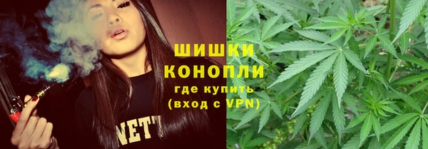 скорость Каменка