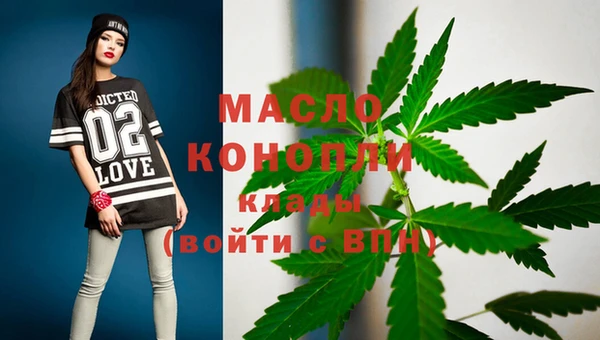 скорость Каменка
