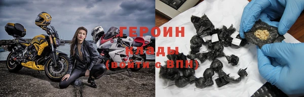 прущие грибы Каменногорск